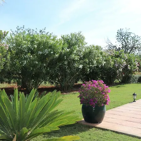 Villa Sa Vinyeta
